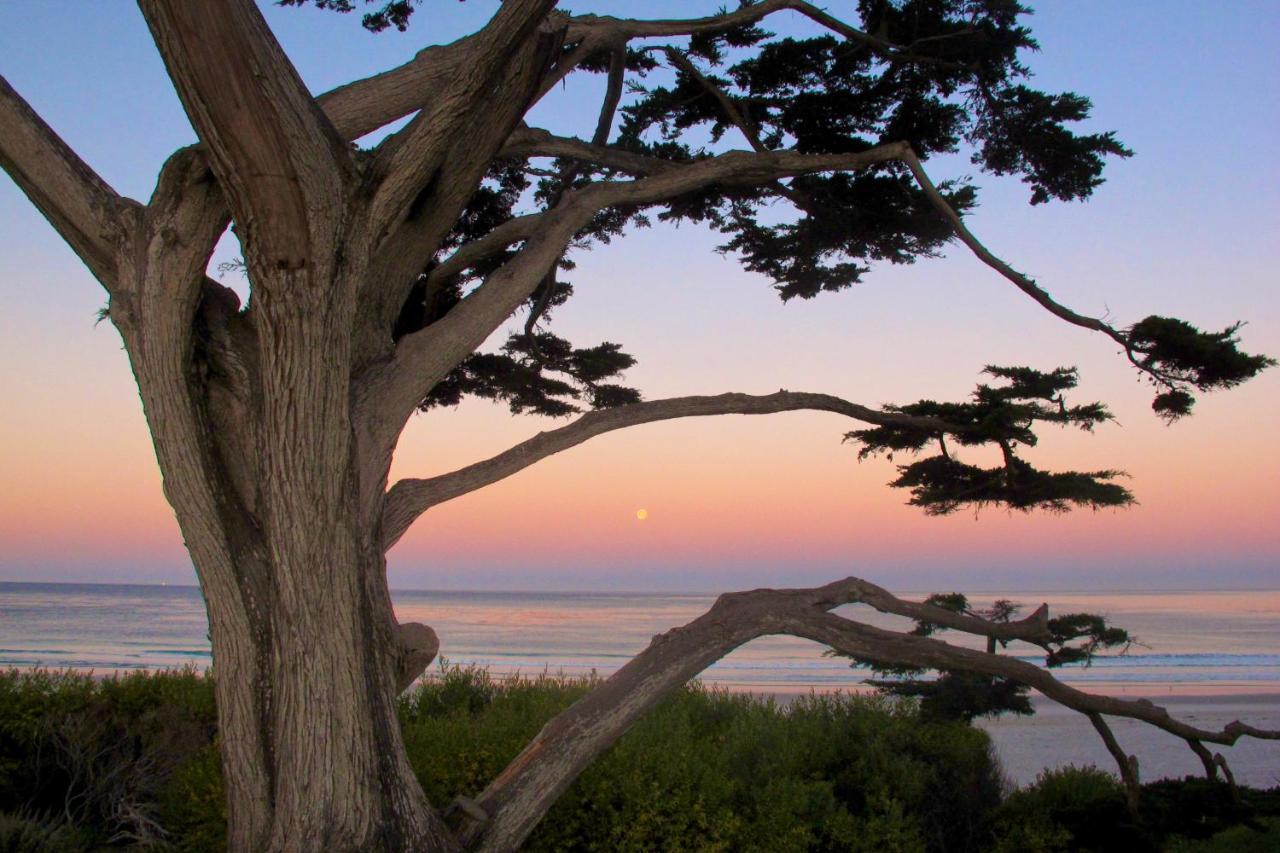 Sea View Inn - Carmel Экстерьер фото