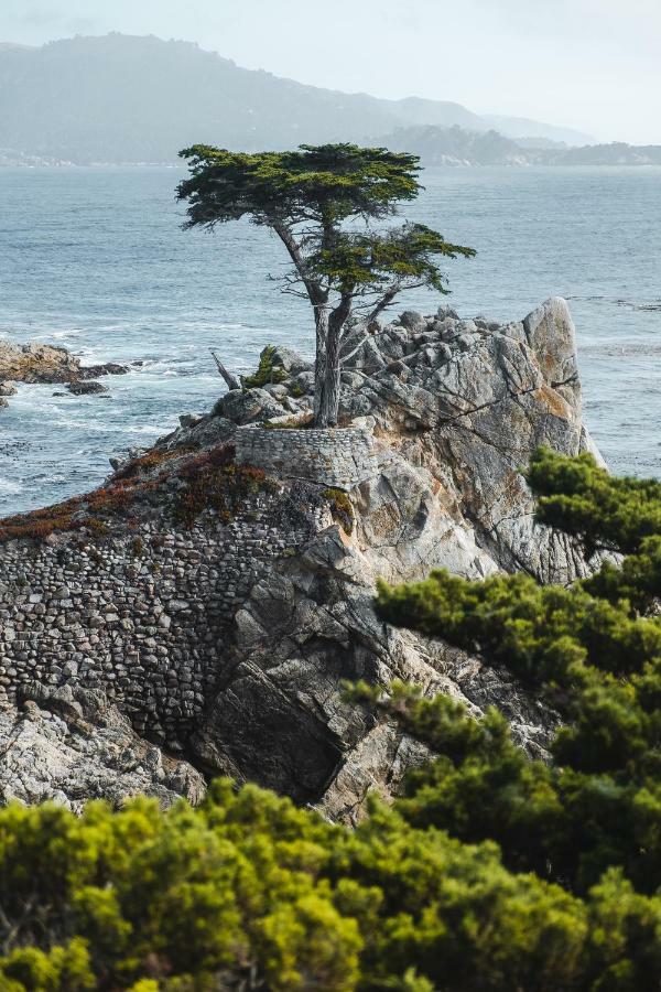 Sea View Inn - Carmel Экстерьер фото